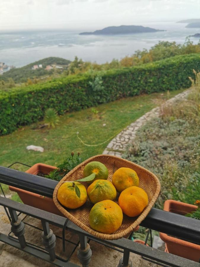 Lux Villa Provence 布德瓦 外观 照片